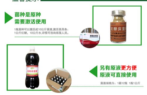 發酵床養蛇是否可行？微生物菌種選擇才是成敗關鍵