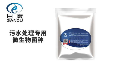 甘度 選用微生物污水處理菌種時需注意的關鍵事項