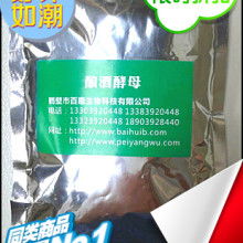 河南鶴壁人元生物 有機肥設備與發酵菌種的行業標桿