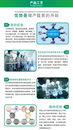 昆騰原漿氨基酸水溶肥 廠家直銷的品質之選，豐收的得力助手