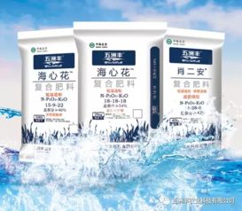 中國腐植酸網