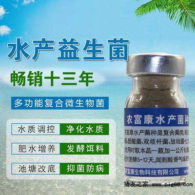 養蝦生物有益菌購買指南 菌種來源與選擇策略