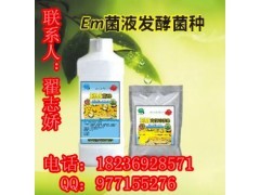 生物飼料發酵劑與微生物菌種購買指南 渠道、選擇與注意事項